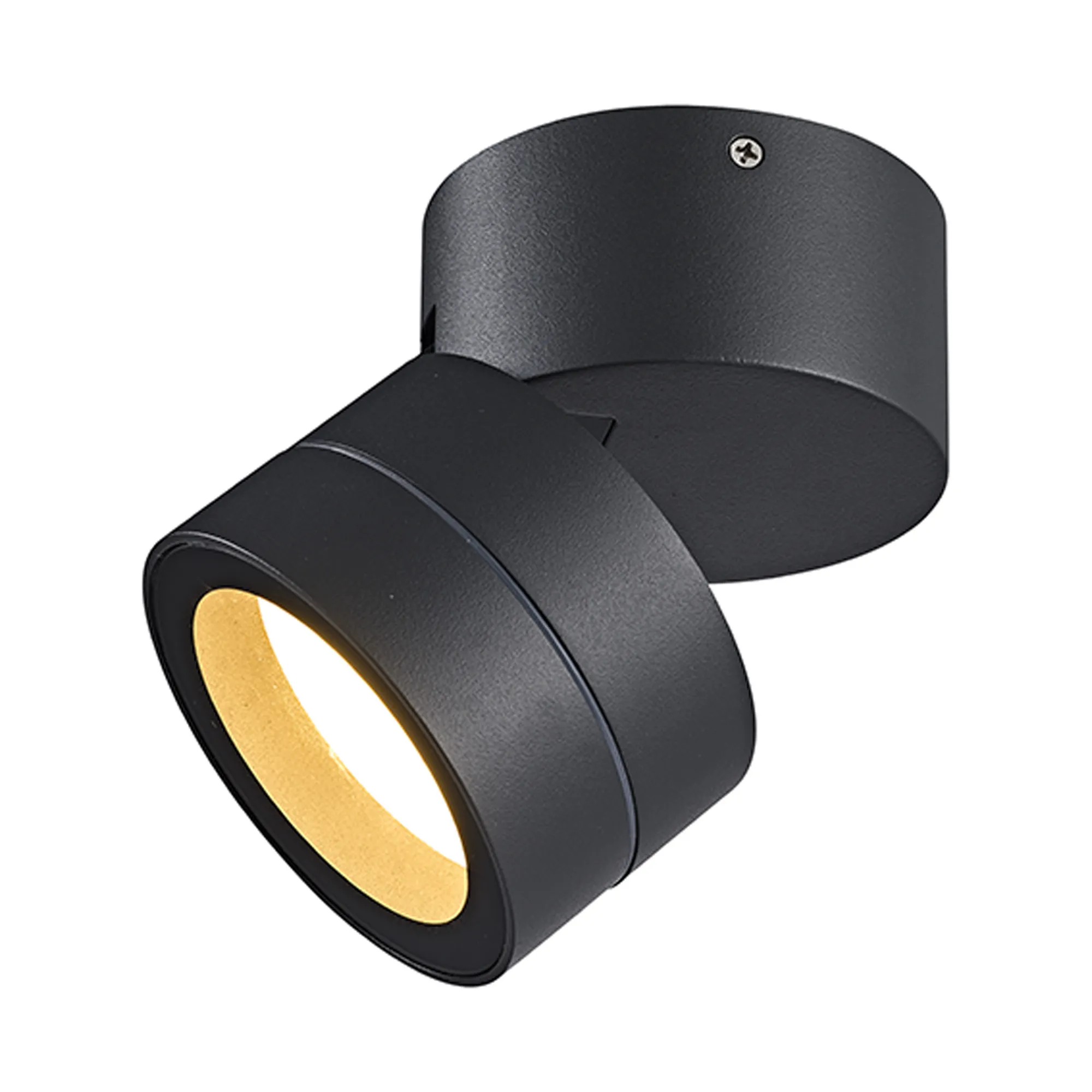 M9100/2700K  Saler Adjustable Dimmable Ceiling Spotlight/Wall Light, 1 Light, With Replaceable 12W LEDs, 2700K, Dark Grey, IP65
